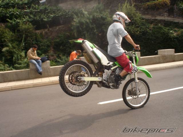 Photo 246445