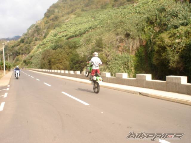 Photo 246449