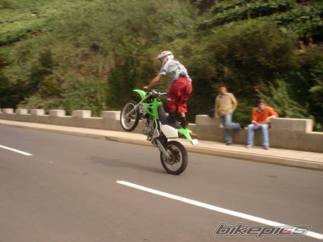 Photo 246451
