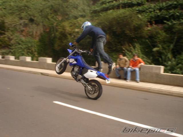 Photo 246452