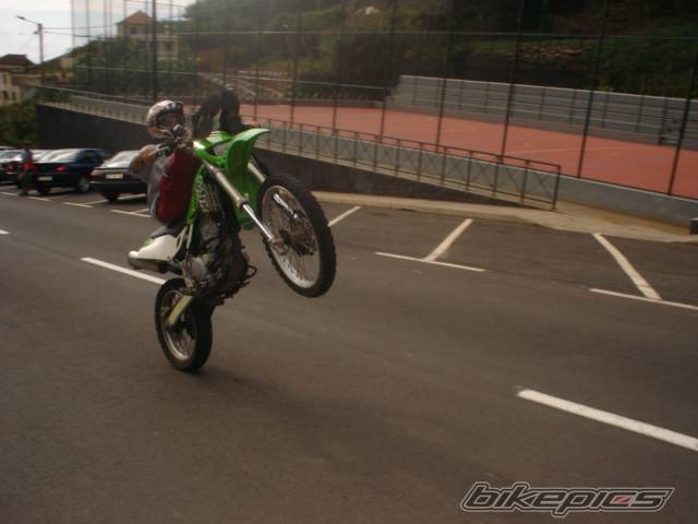 Photo 246453
