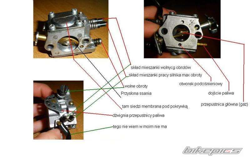 Photo 2464540