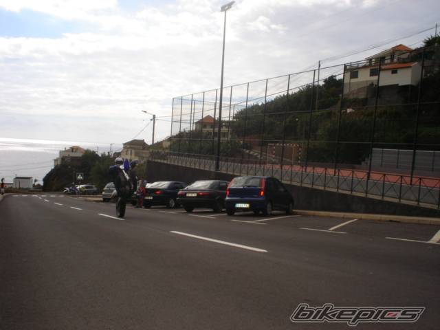 Photo 246456