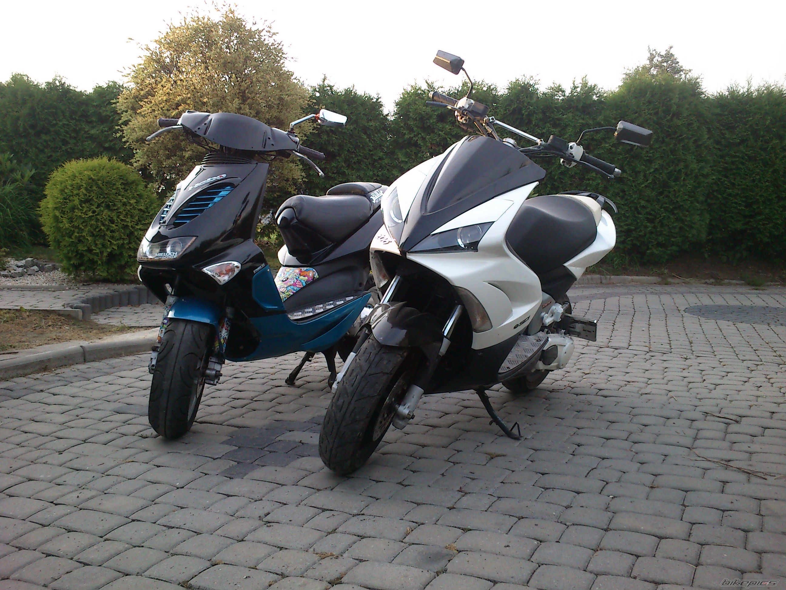 Photo 2464579