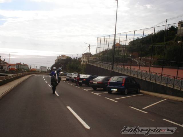 Photo 246461