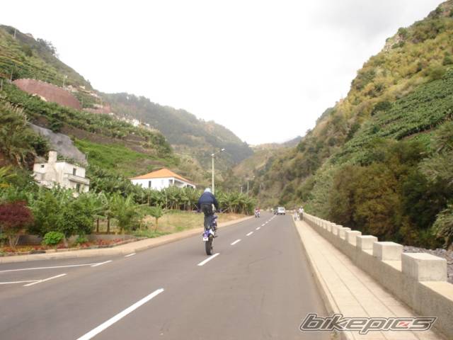 Photo 246462