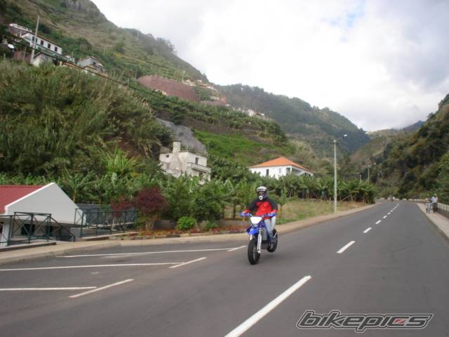 Photo 246463