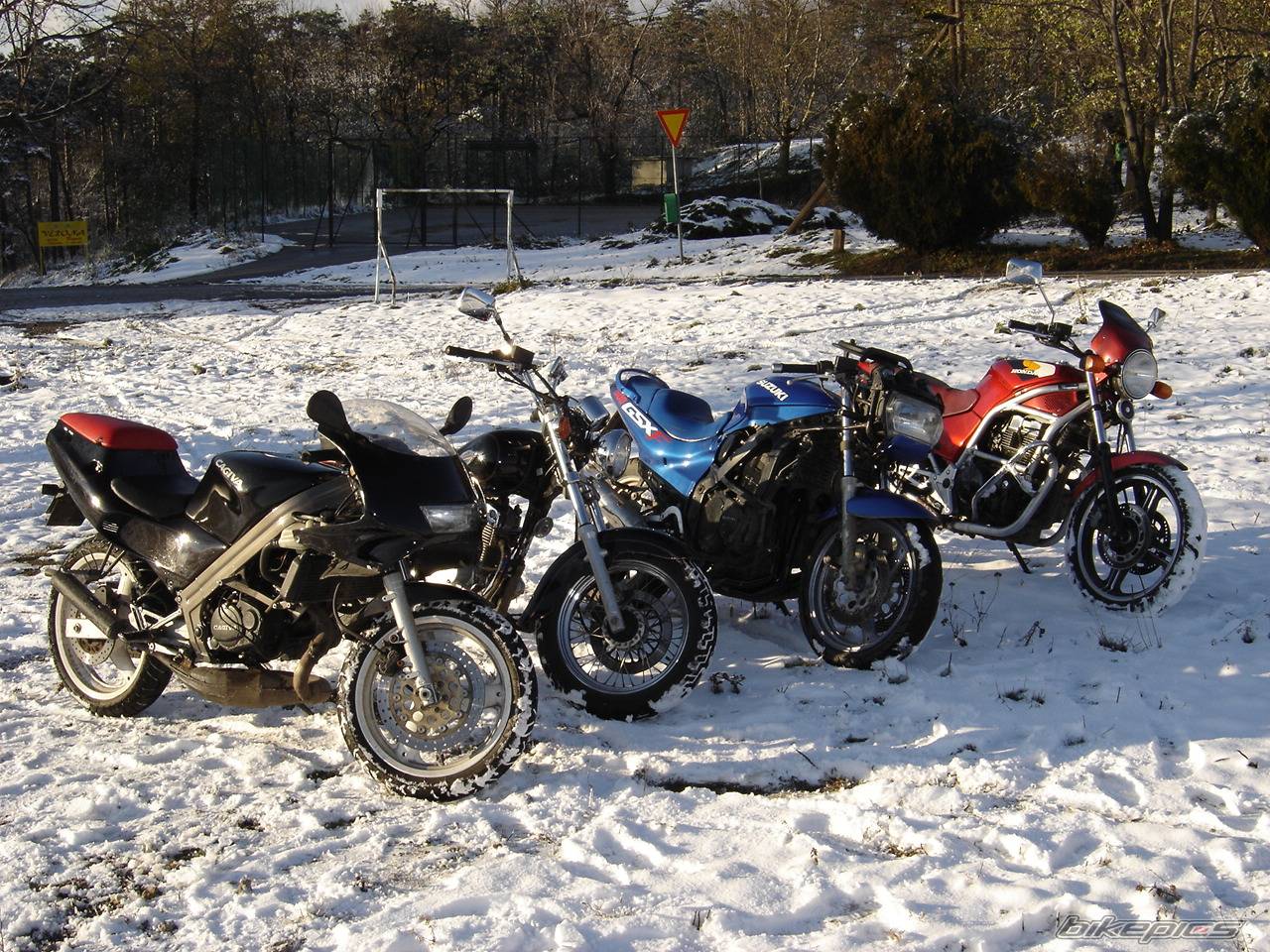 Photo 246469
