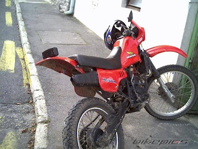 Photo 246471
