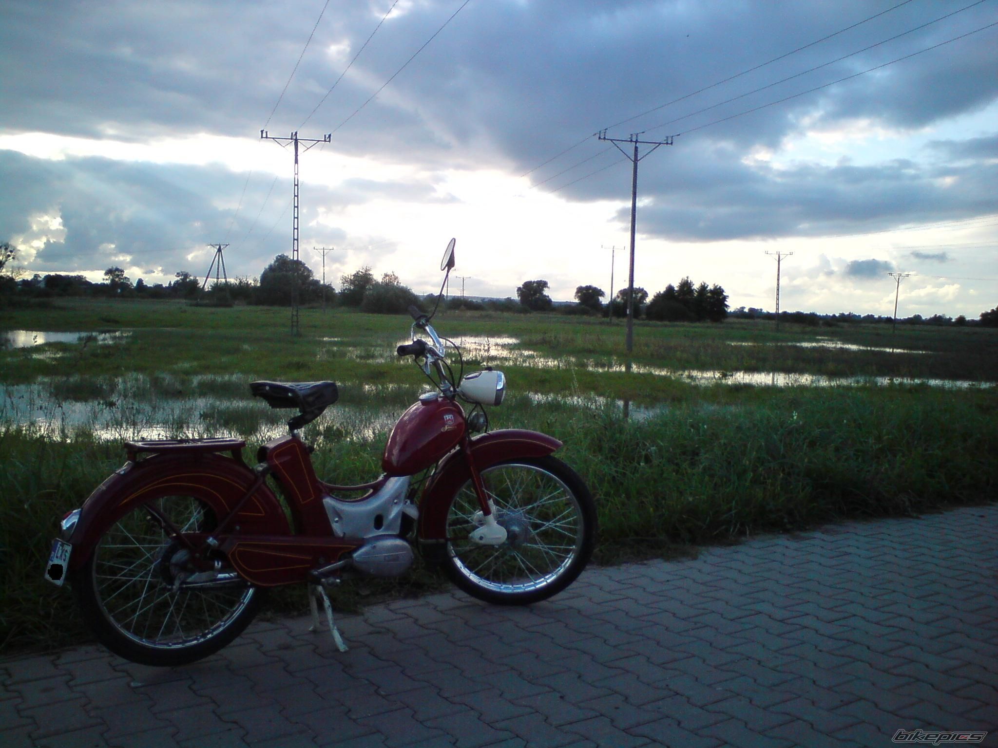 Photo 2464730