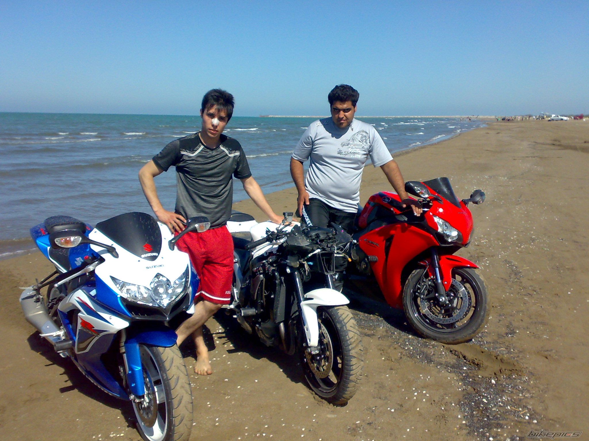 Photo 2464768