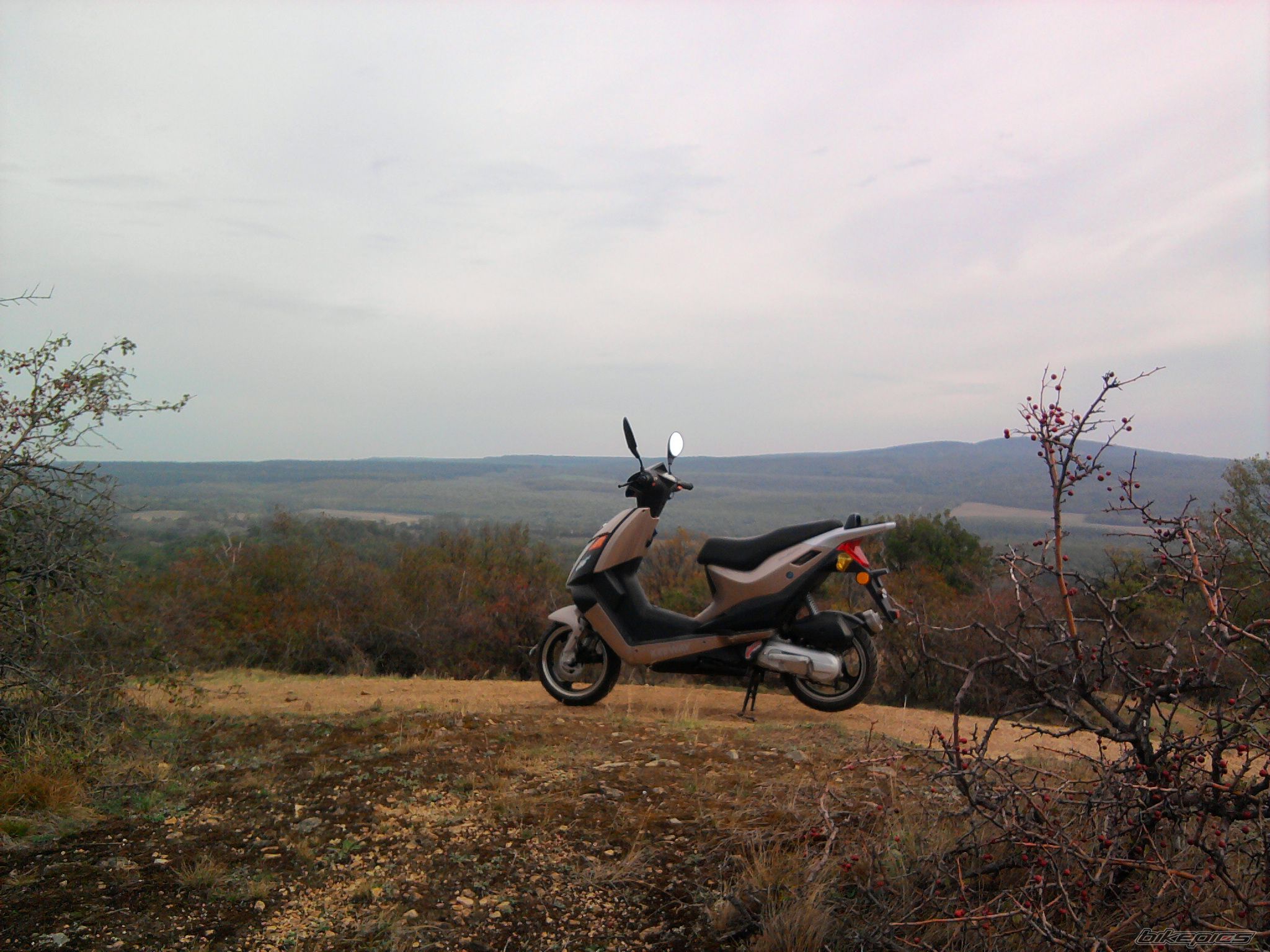 Photo 2464803