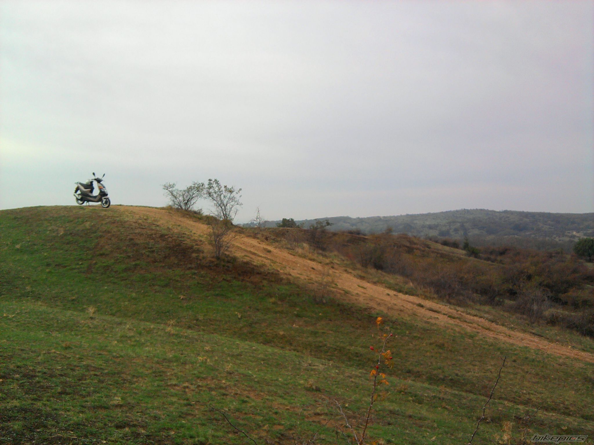 Photo 2464805