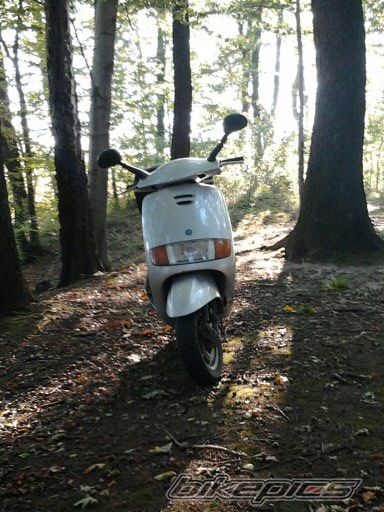 Photo 2464819