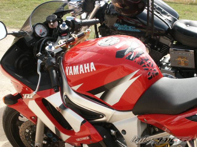 Photo 246482