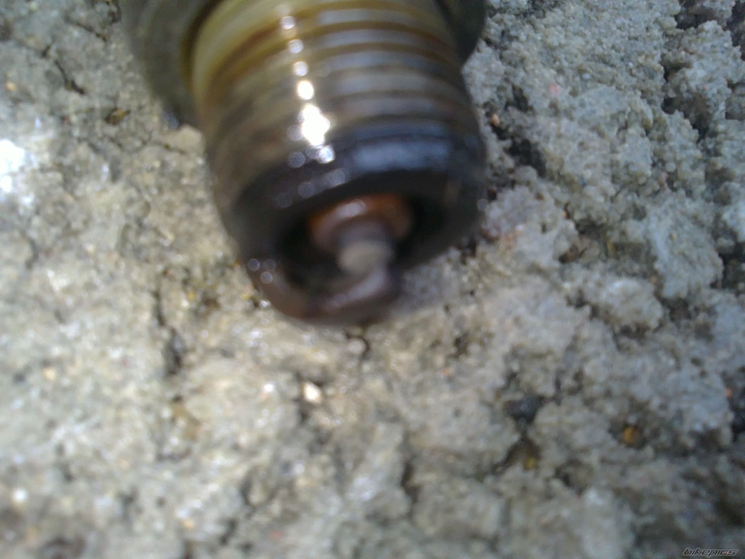 Photo 2464881