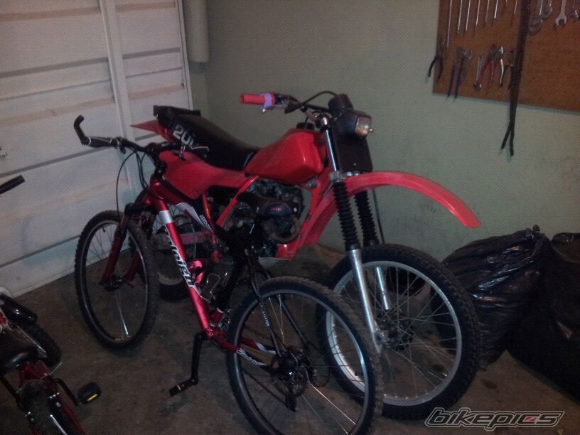 Photo 2464905
