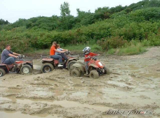 Photo 246491