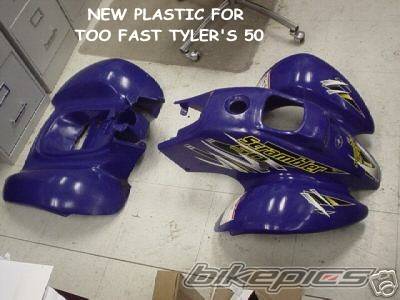 Photo 246492