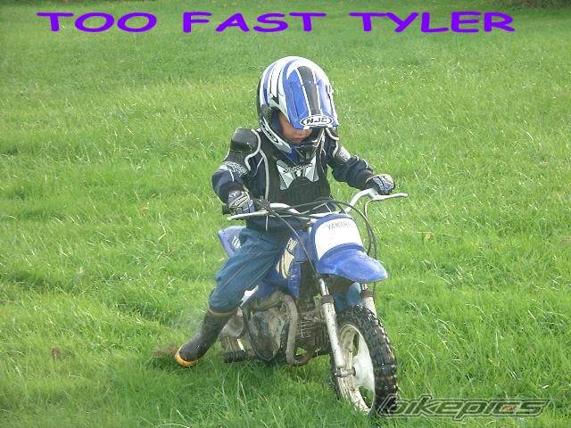 Photo 246493
