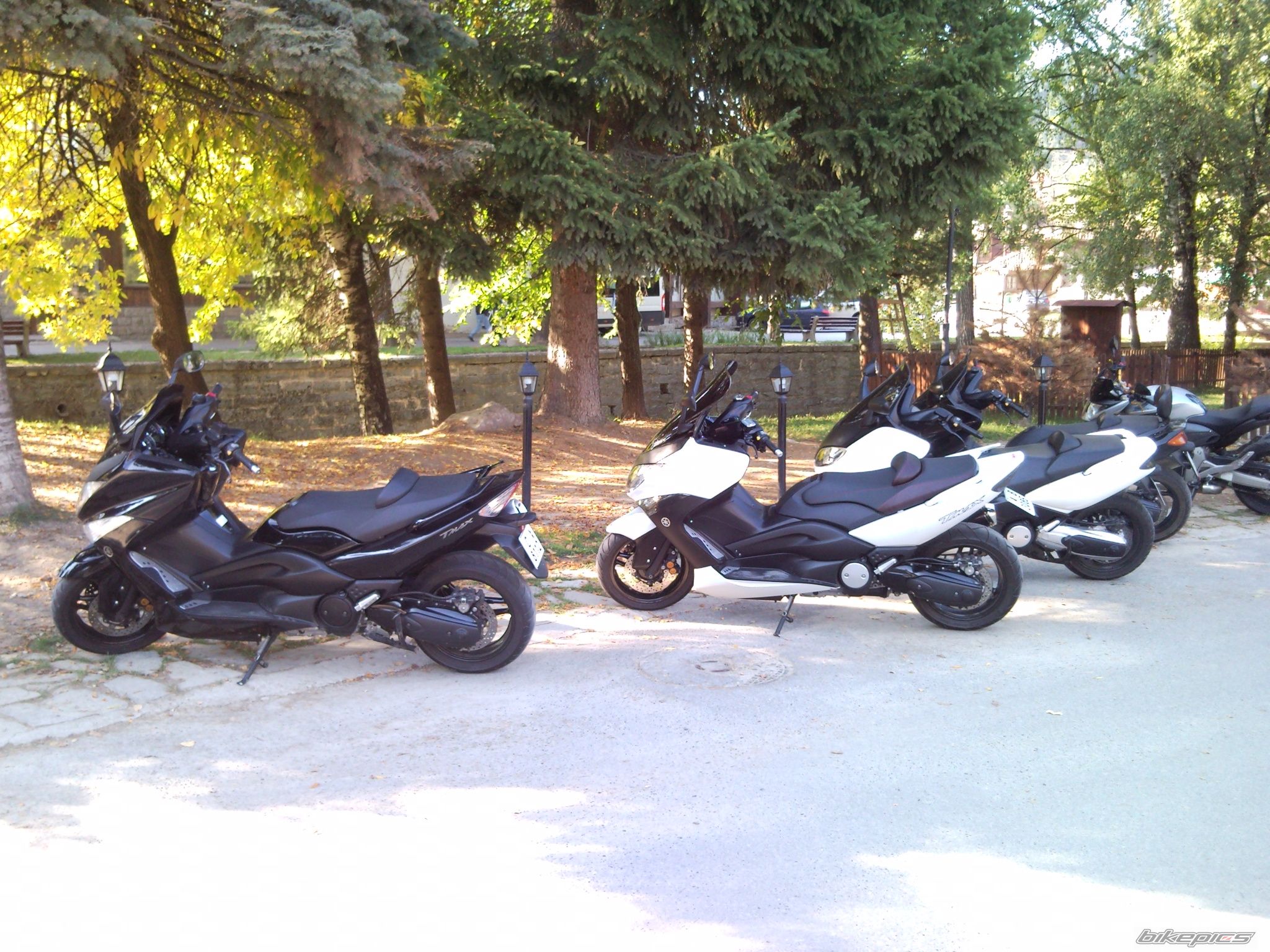 Photo 2464972