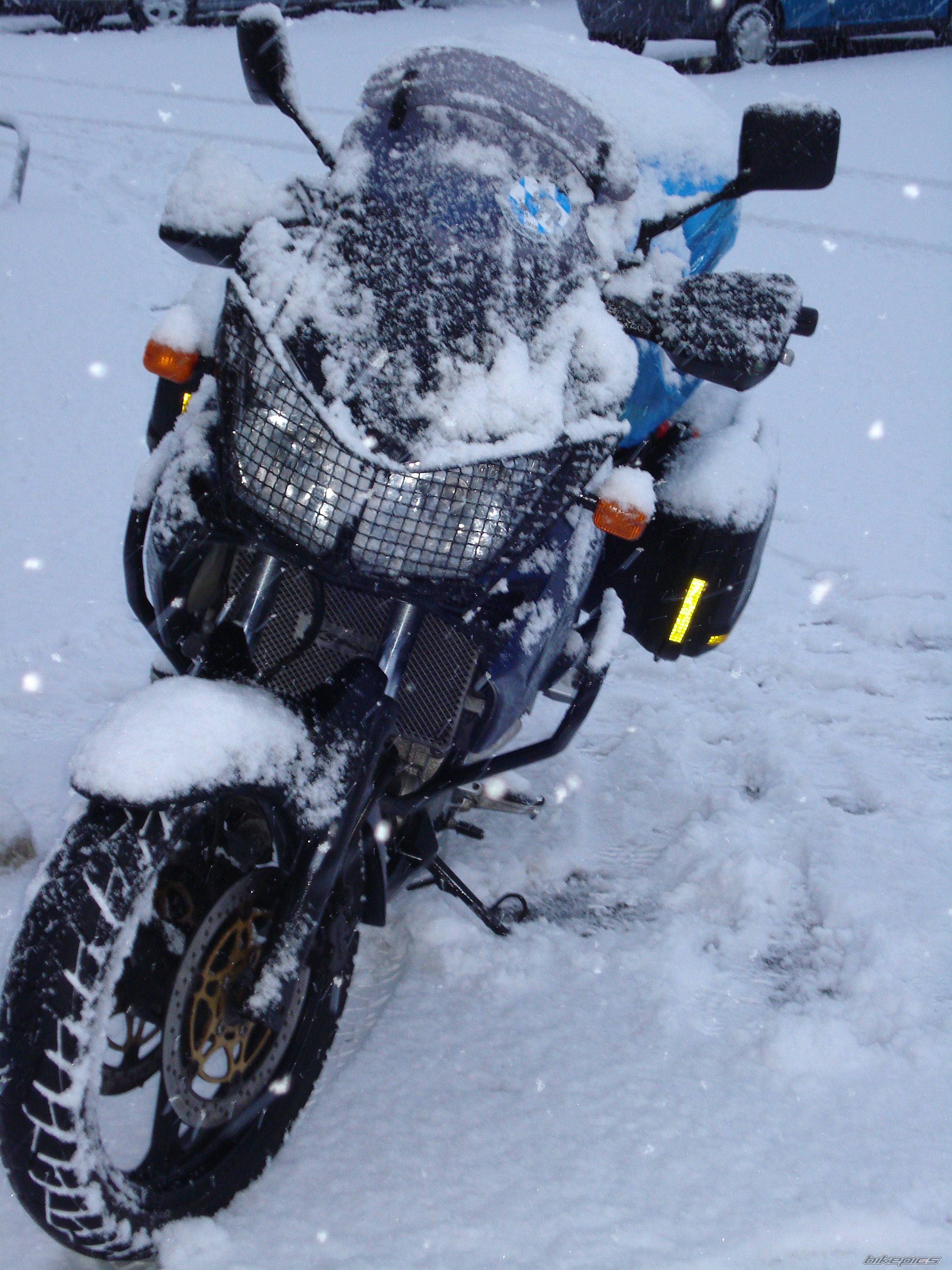 Photo 2464982