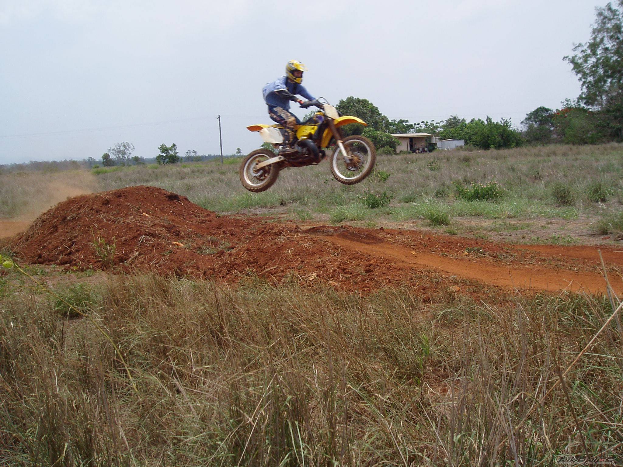 Photo 246506