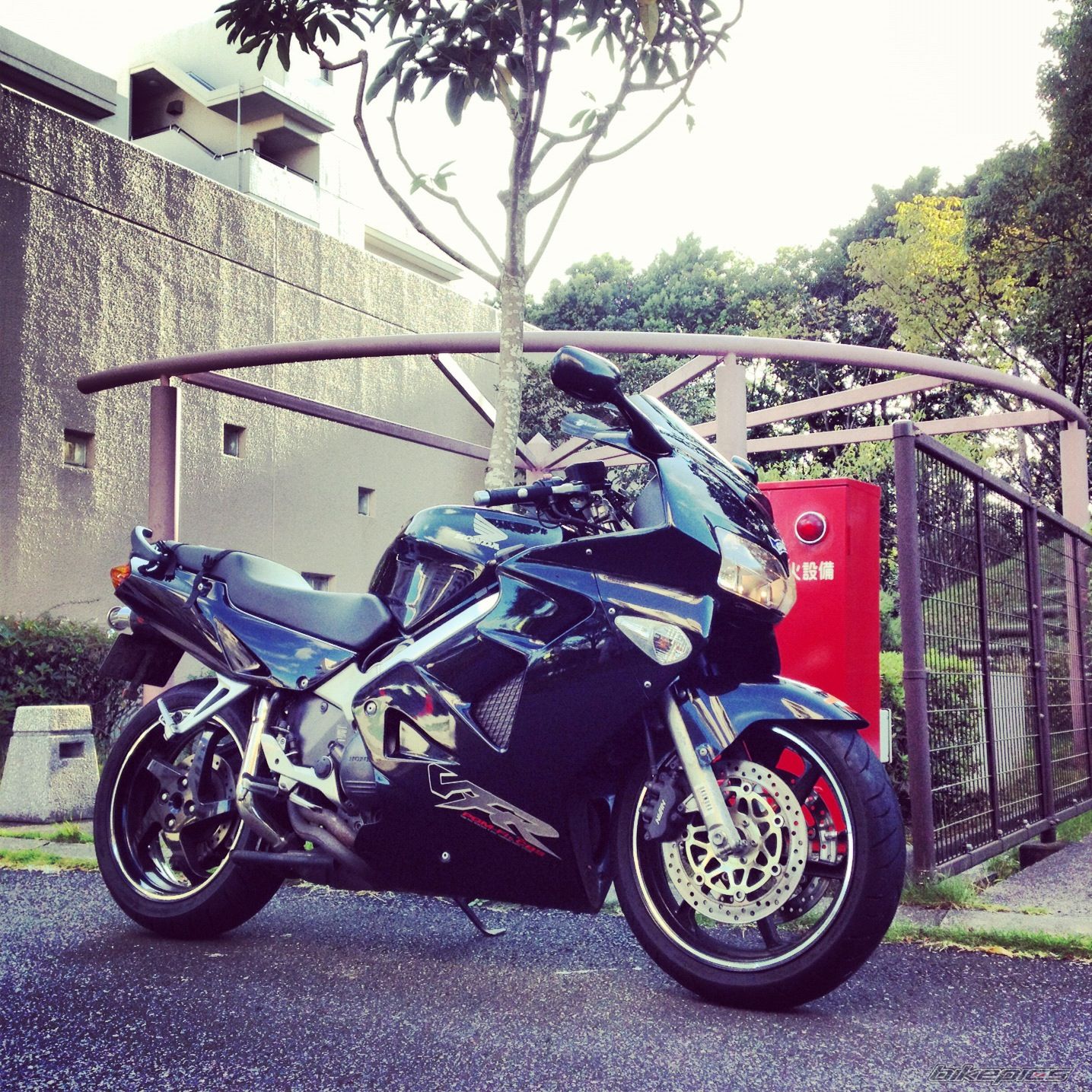 Photo 2465093
