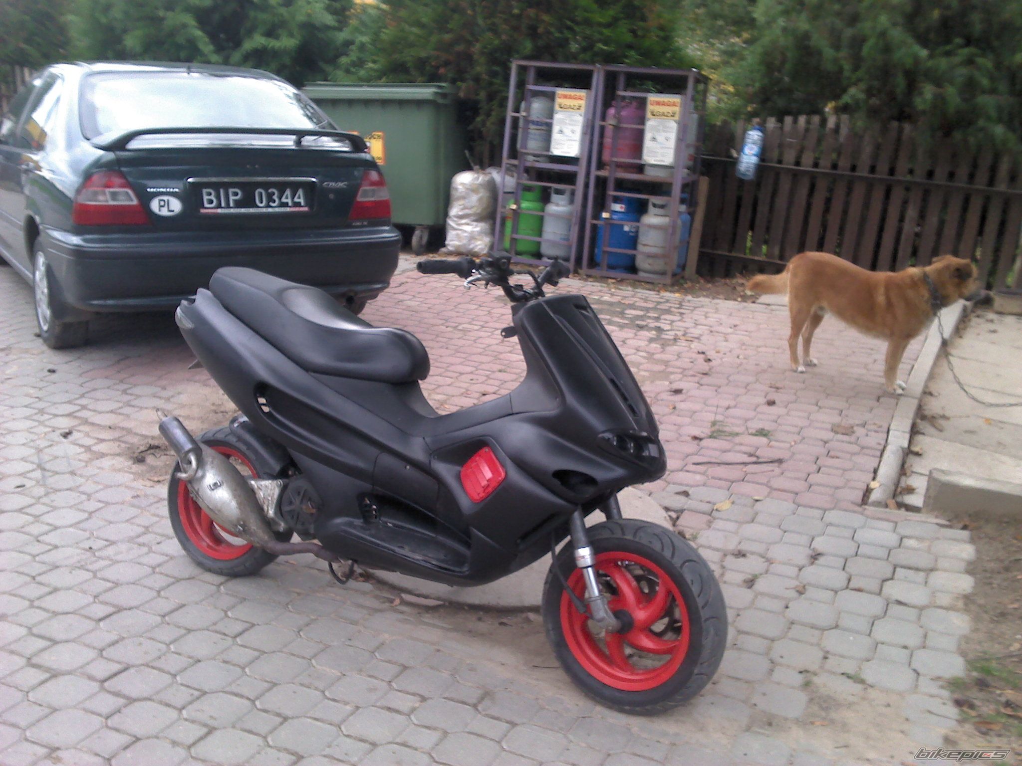 Bike Photo 2465102