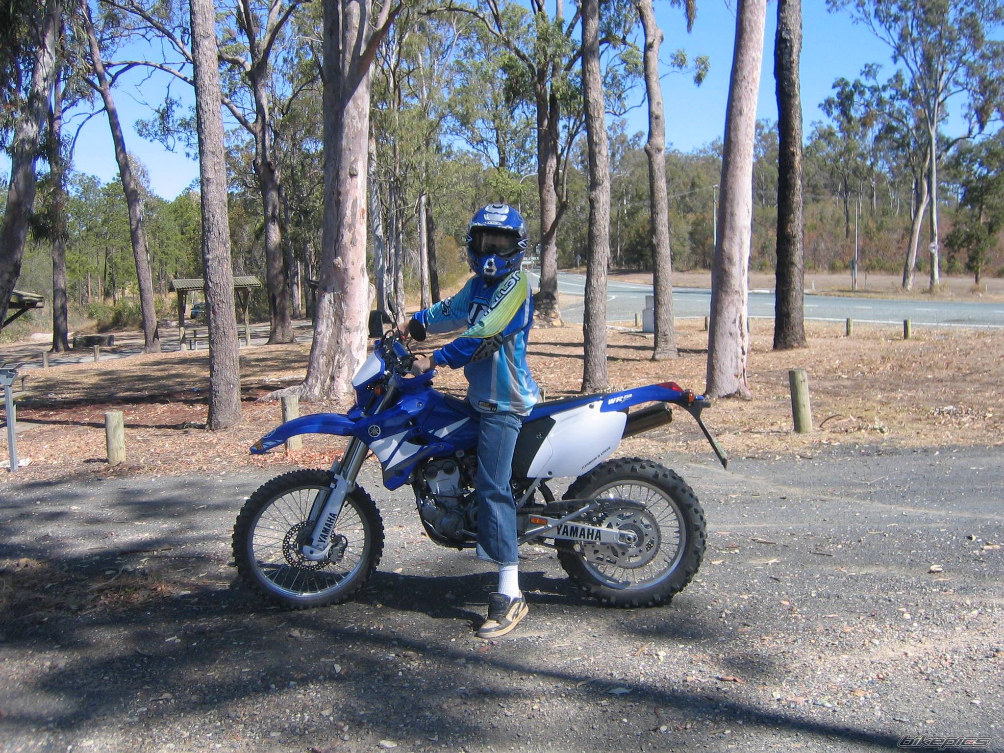 Photo 246519