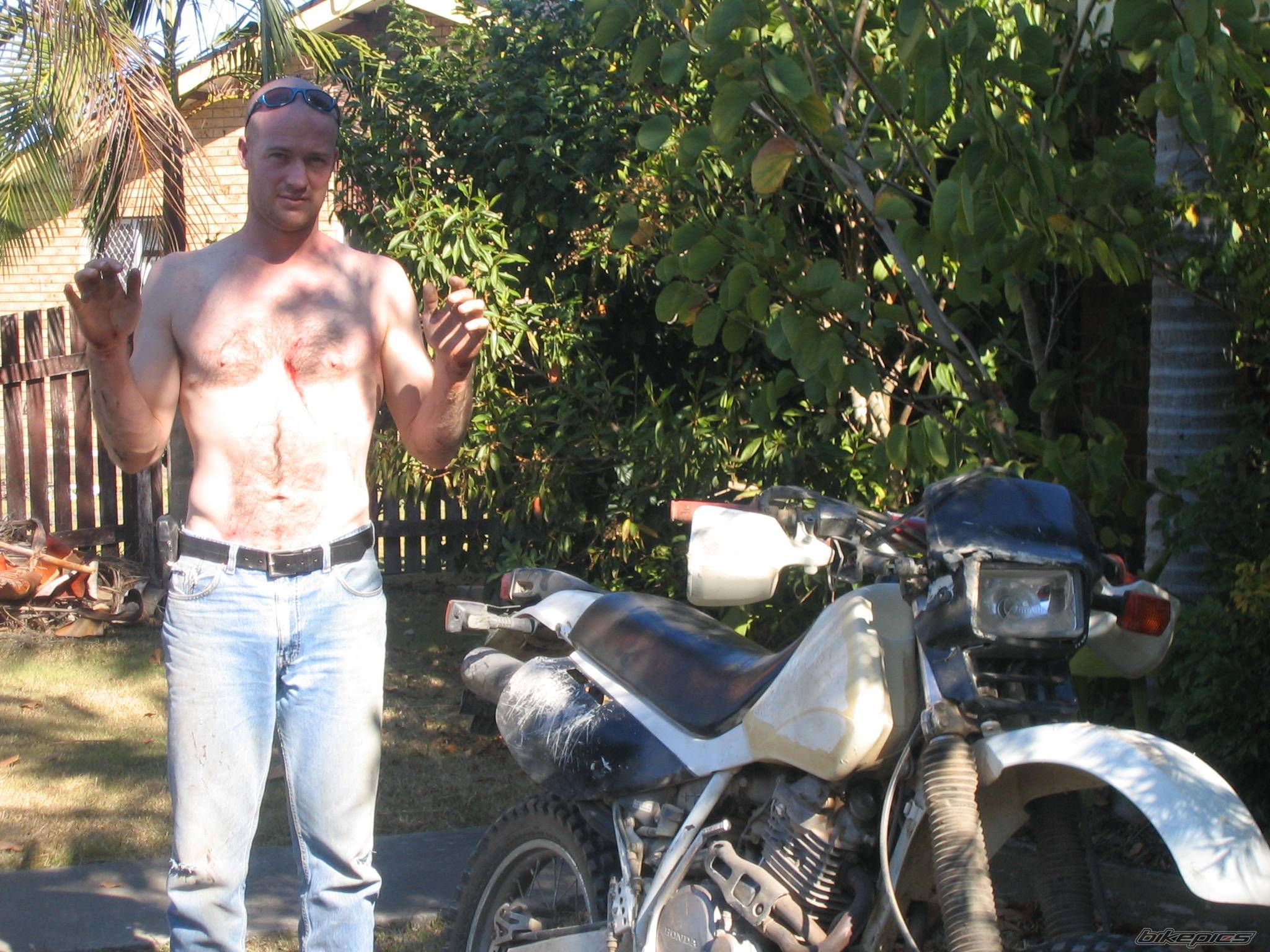 Photo 246520