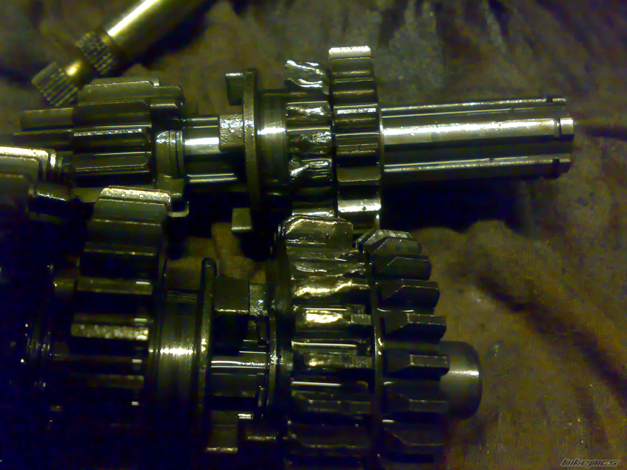 Photo 2465252