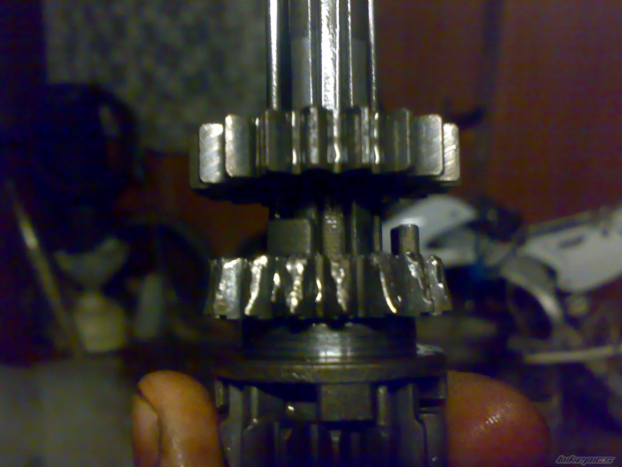 Photo 2465253