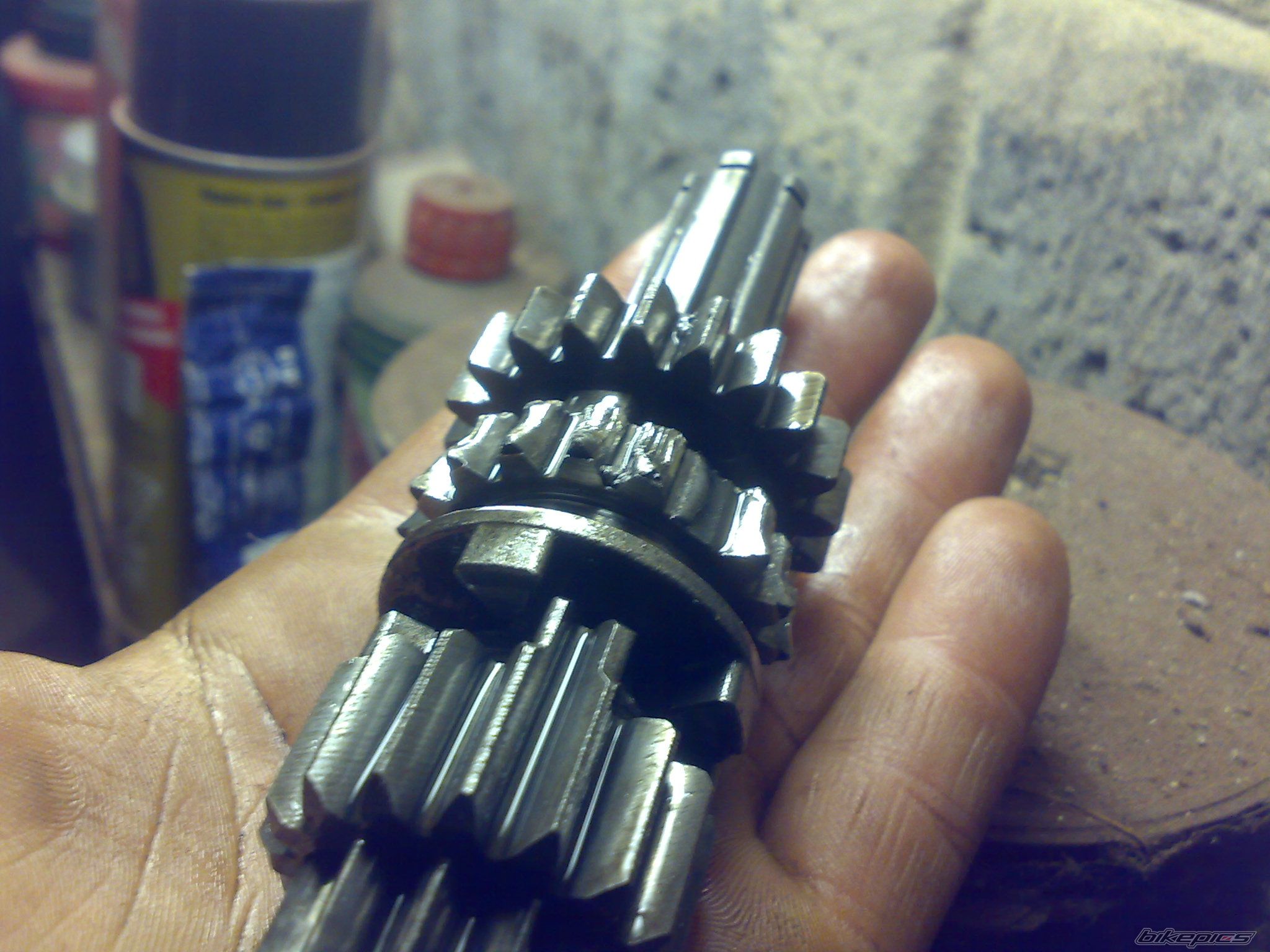 Photo 2465255