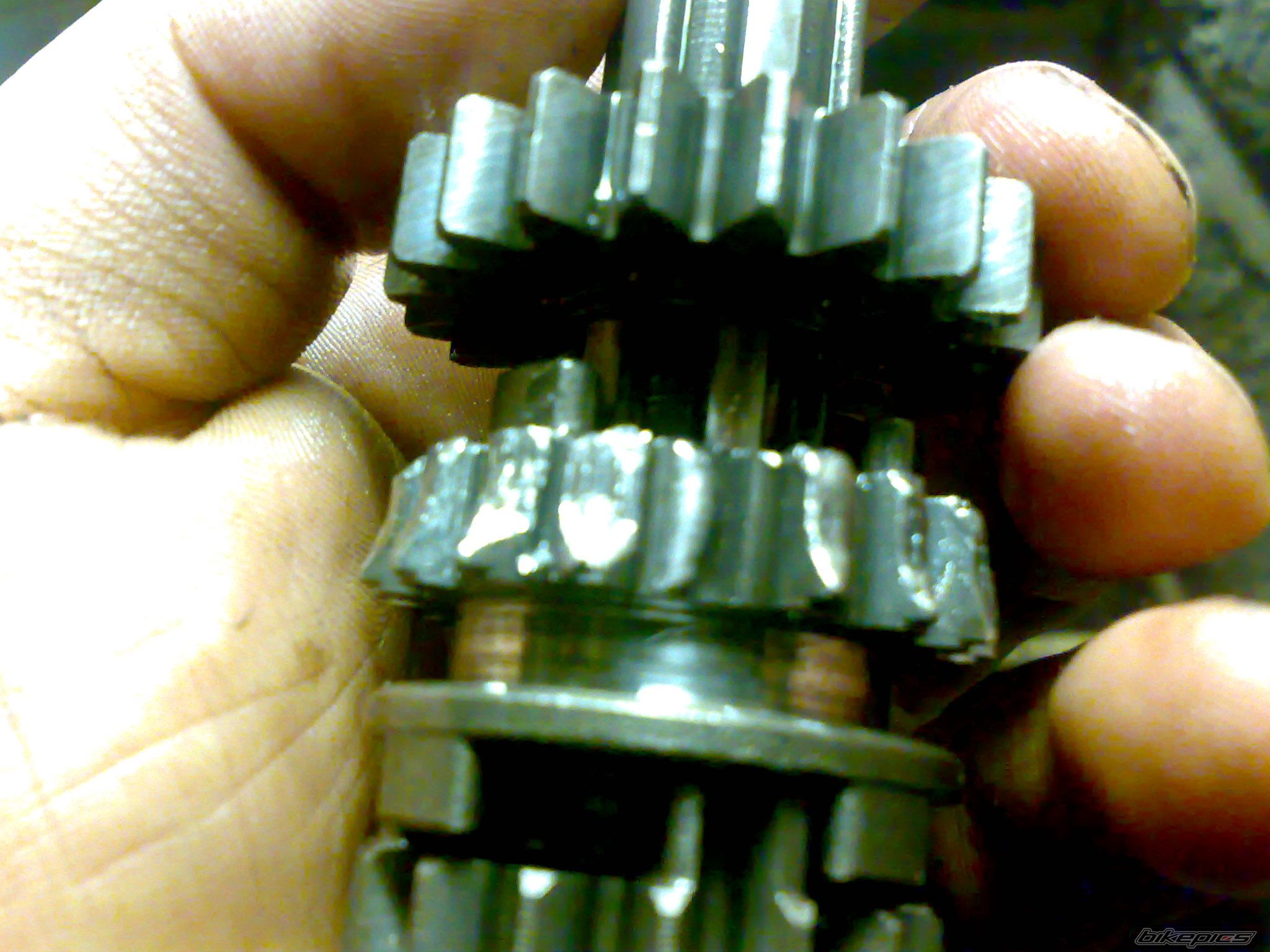 Photo 2465256