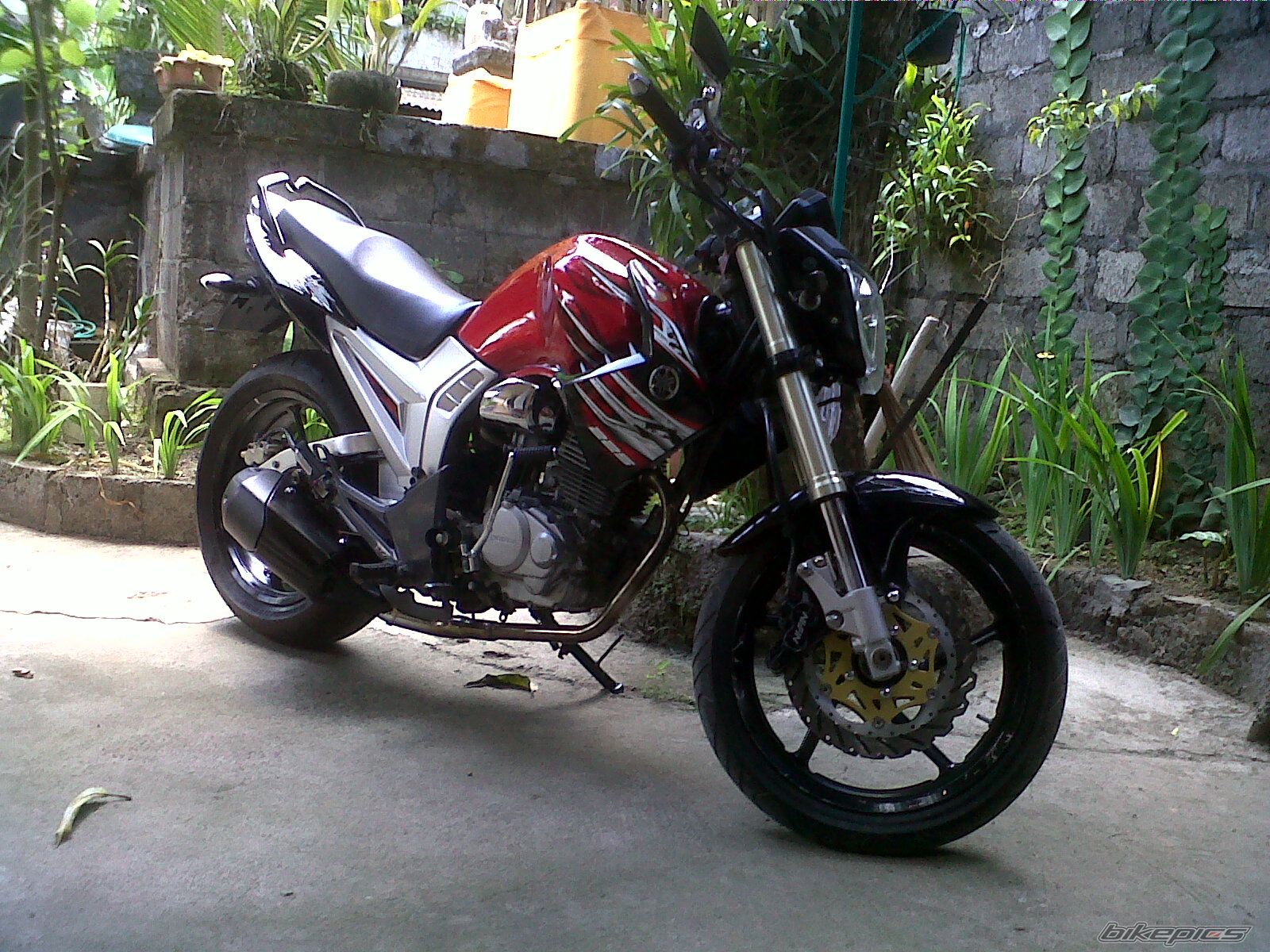 Photo 2465306