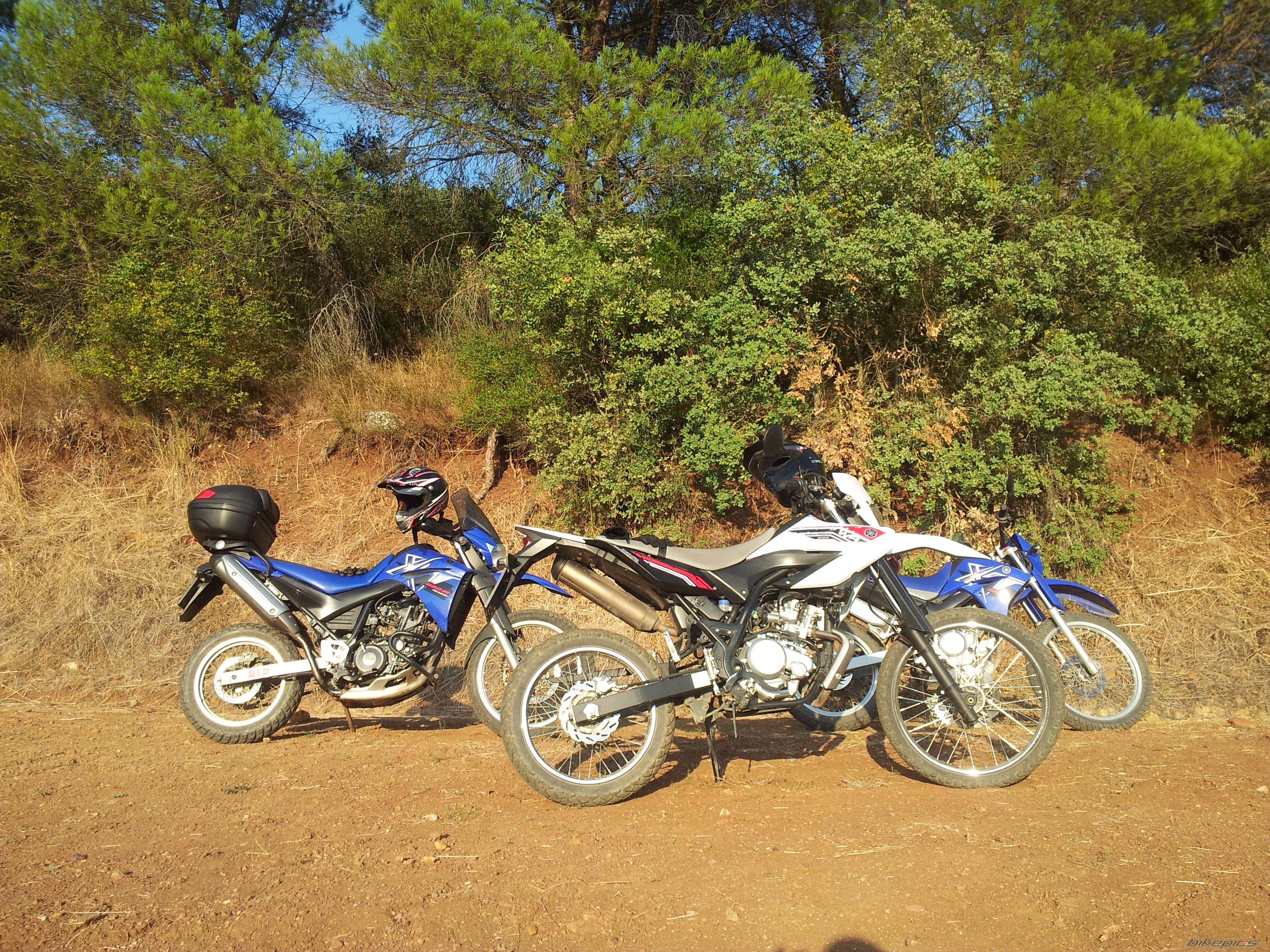 Bike Photo 2465333