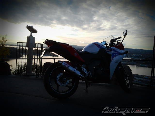 Photo 2465439