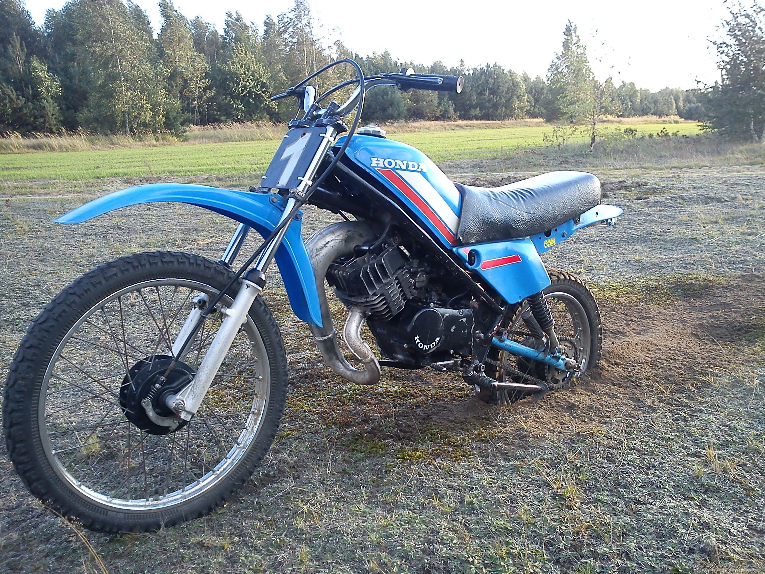 Photo 2465494