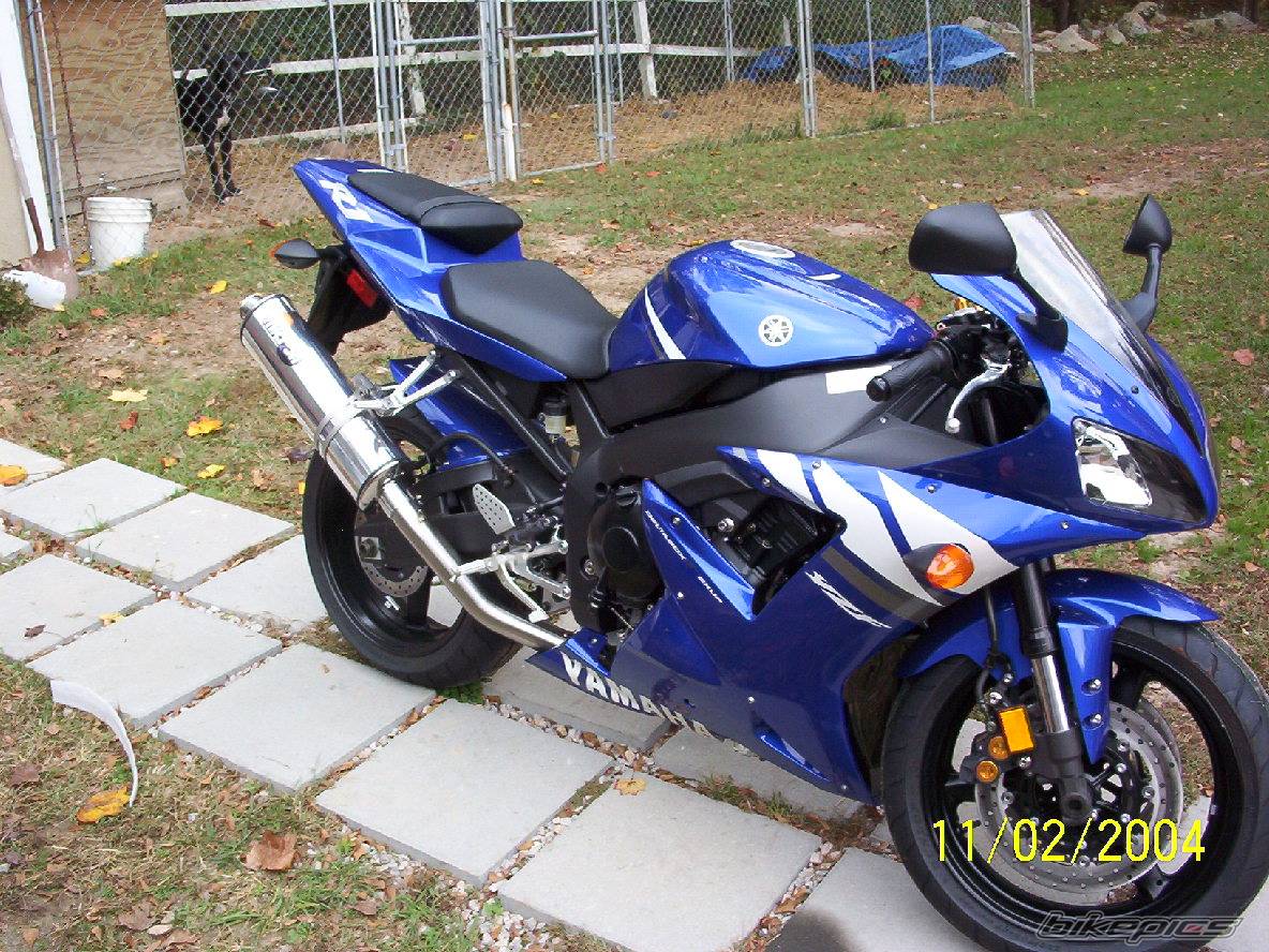 Photo 246557