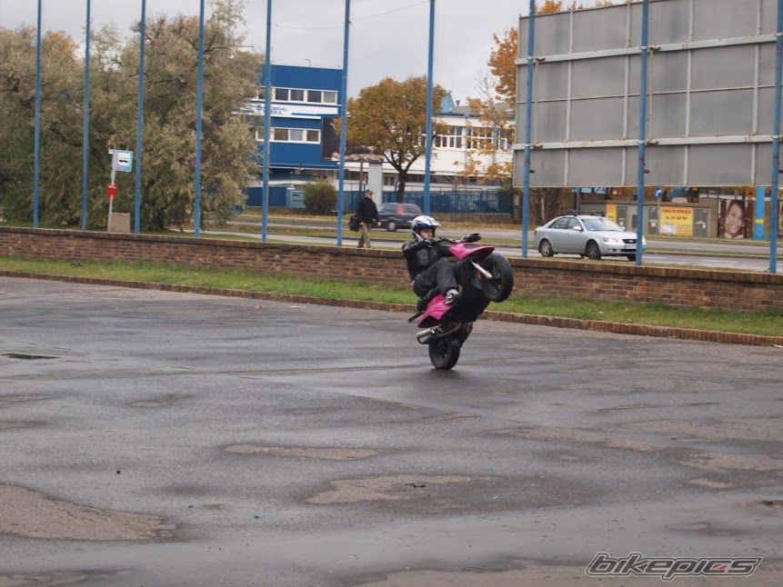 Photo 2465578