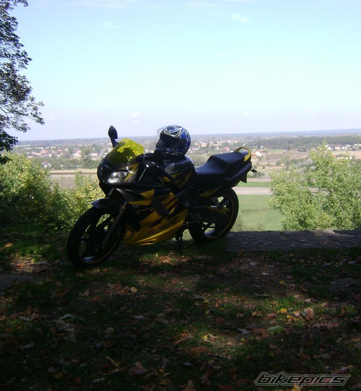 Photo 2465596