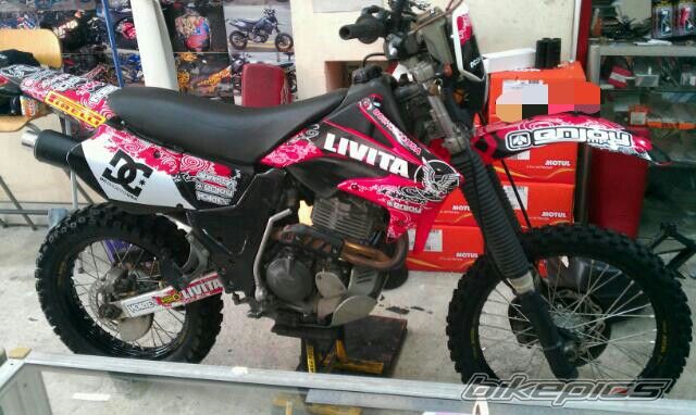 Photo 2465642