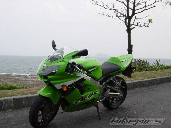 Photo 246566