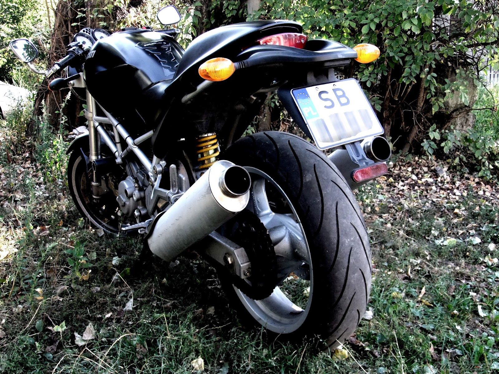 Photo 2465666