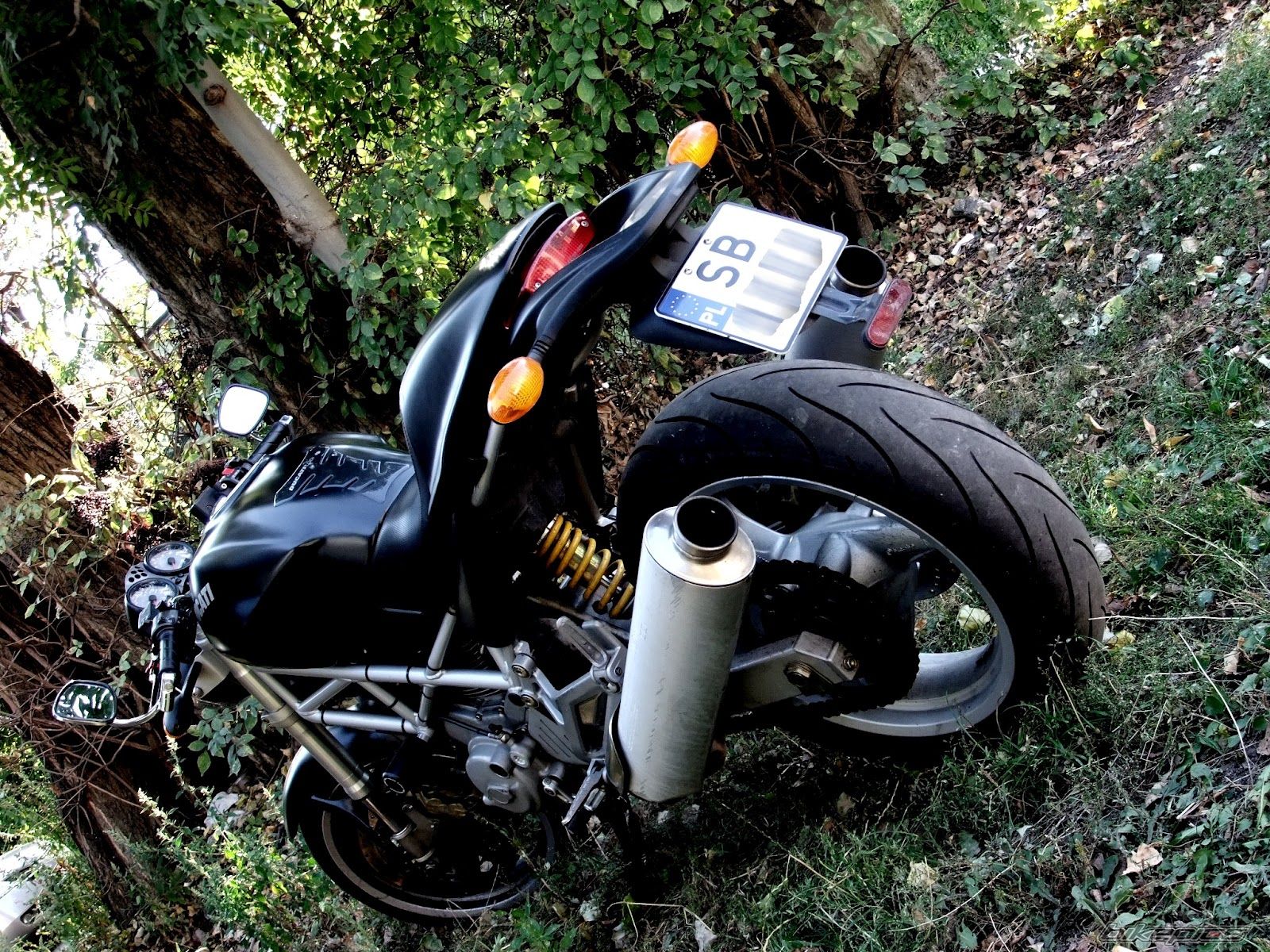 Photo 2465668