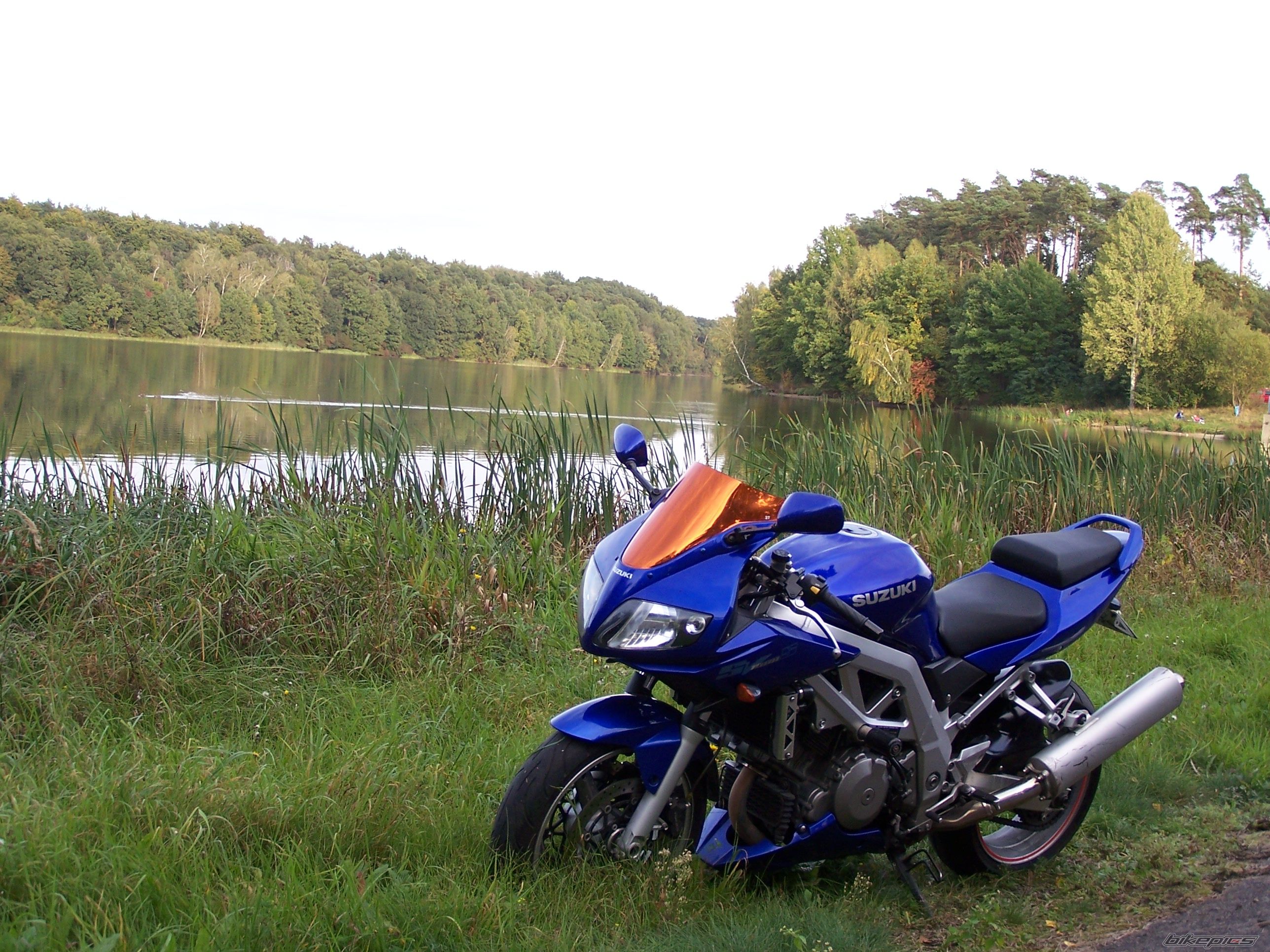 Photo 2465678