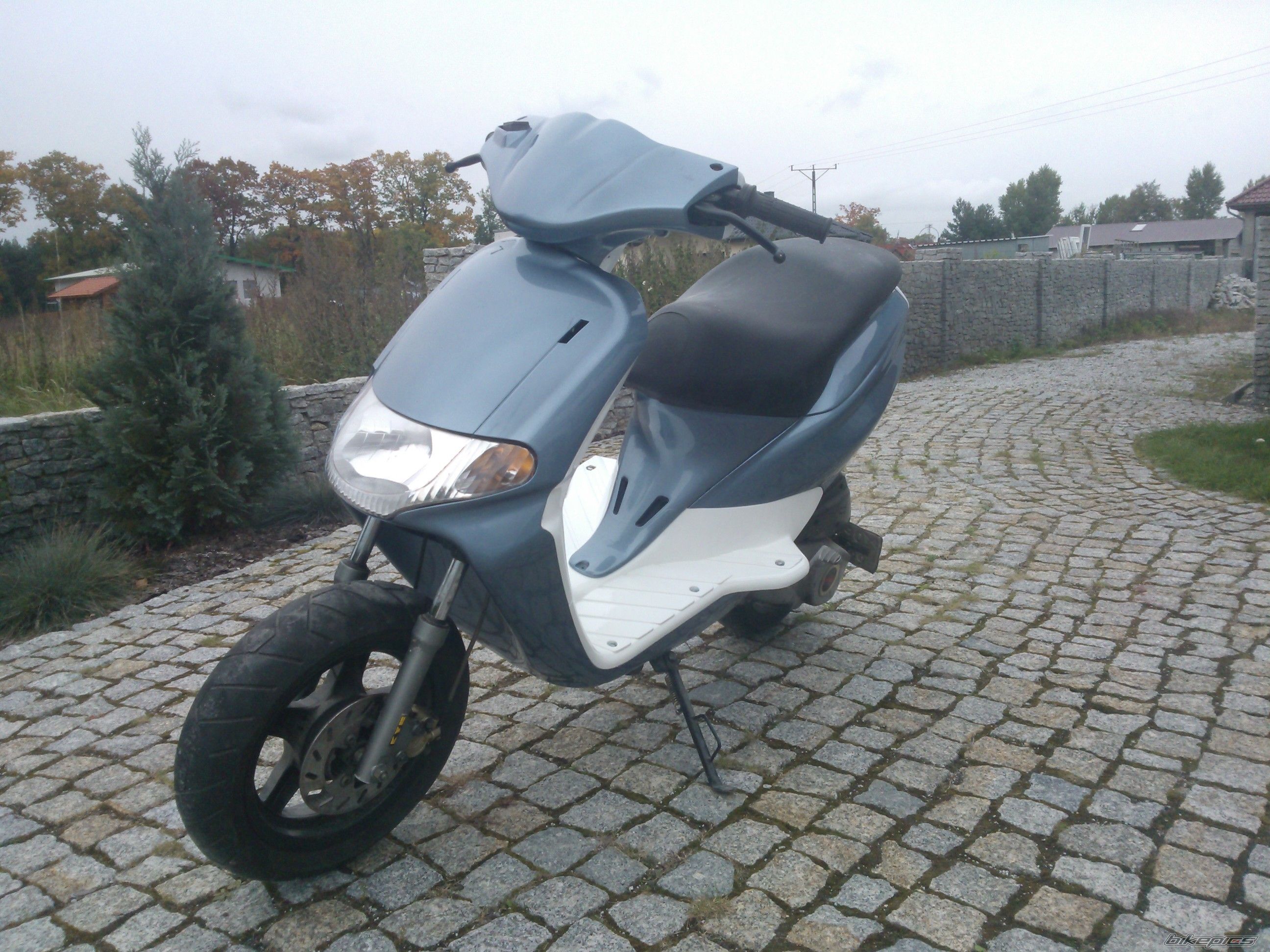 Photo 2465780