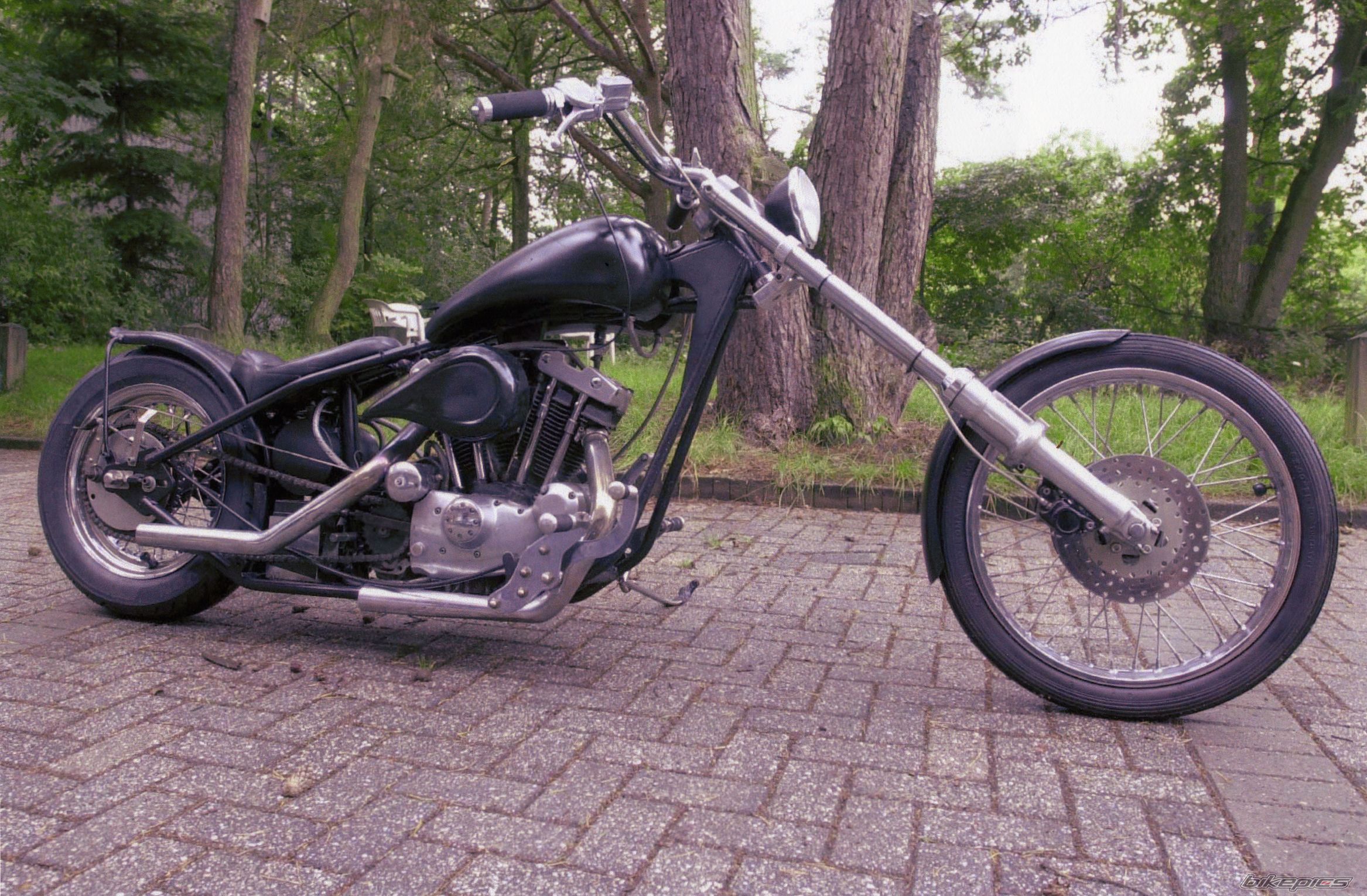 XLS 1000