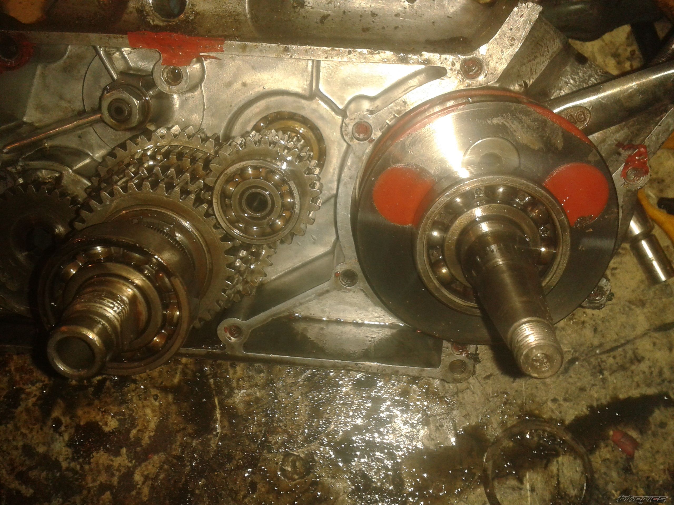 Photo 2465846